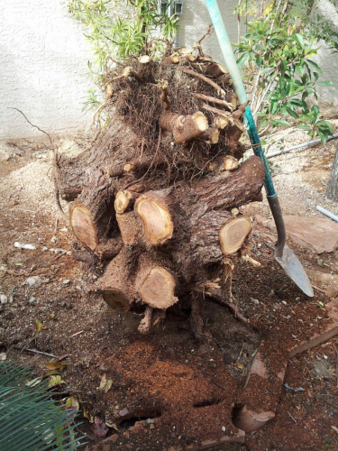 2016011895104344 (1)