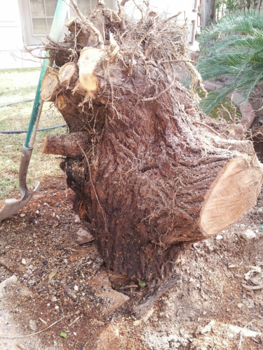 20160118 104406 resized (1)