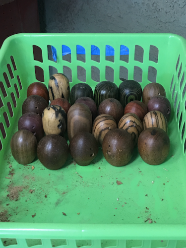 56201786233  E26253C3-FD21-499E-A06D-D9E96A6A40FD